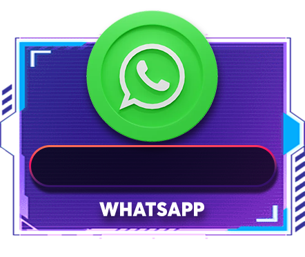 whatsapp contact